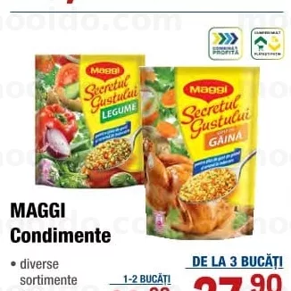 MAGGI Condimente