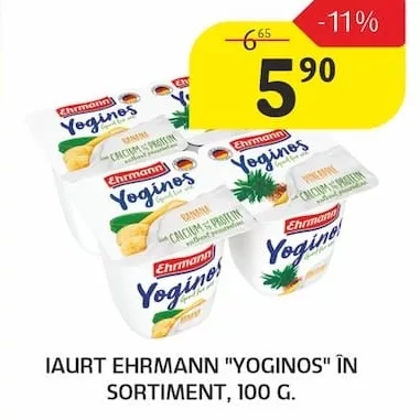 IAURT EHRMANN "YOGINOS" ÎN SORTIMENT, 100 G.