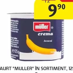 IAURT "MULLER" ÎN SORTIMENT, 125 G.
