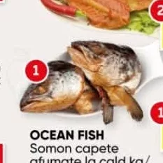 OCEAN FISH Somon capete afumate la cald kg/ Vertebre somon afumat la rece kg