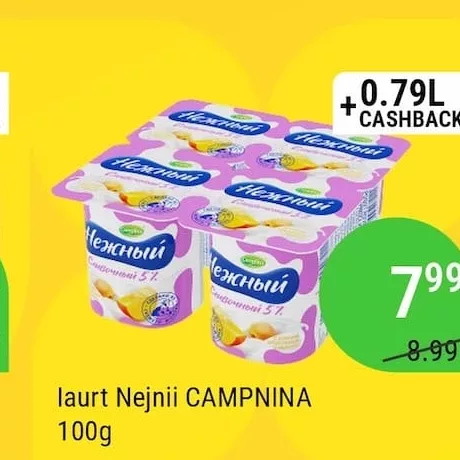 Iaurt Nejnii CAMPNINA 100g