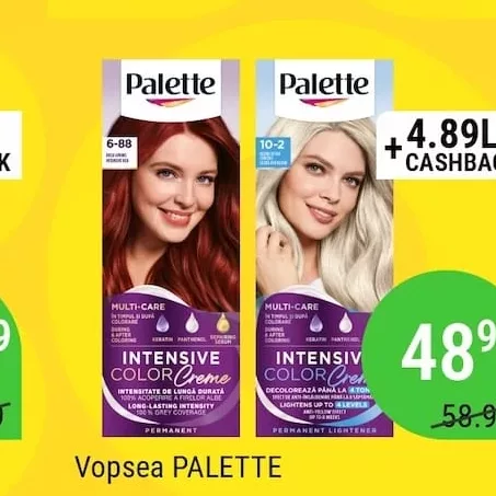 Vopsea PALETTE
