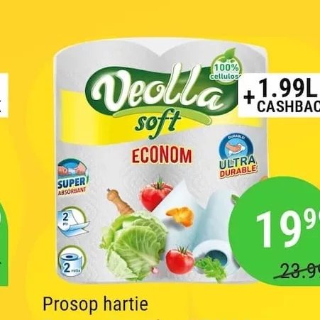 Prosop hartie Econom 2str 2buc VEOLLA