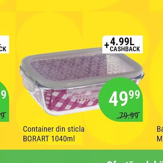 Container din sticla BORART 1040ml