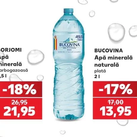 BUCOVINA Мінеральна вода негазована 2 л