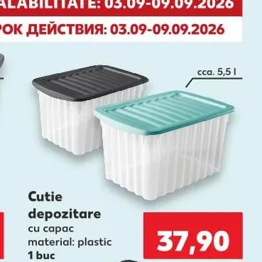 Cutie depozitare cu capac