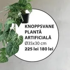 ИСКУССТВЕННОЕ РАСТЕНИЕ KNOPPSVANE Ø35x30 см