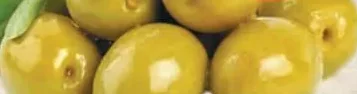 FILIPPOS Olive S.S. MAMMOTH cu sâmburi, calibrul 81–90, 1 kg, Grecia