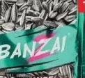 BANZAI 90 g semințe pestrițe de floarea-soarelui prăjite