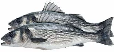 Biban de mare, calibru 400–600 g, origine Grecia, preț/kg