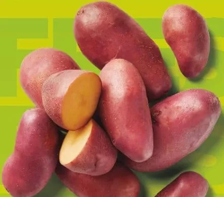 Cartofi roz, calitatea I, 5 kg