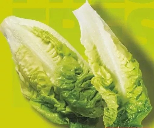 Salată Romana, calitatea I, buc