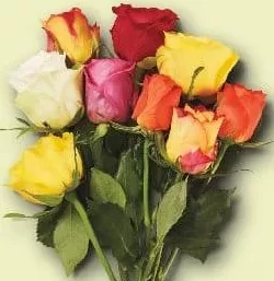 Buchet trandafiri mix, 9 fire, buc