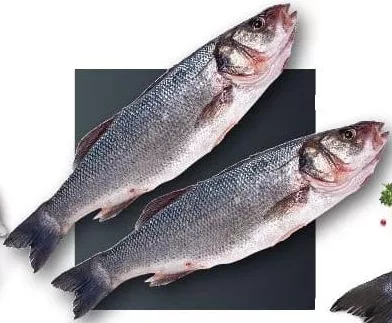 Lup de mare întreg, acvacultură, calibru 300 - 400, Dicentrarchus labrax, kg