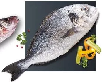 Doradă eviscerată, acvacultură, grill, Sparus aurata, kg