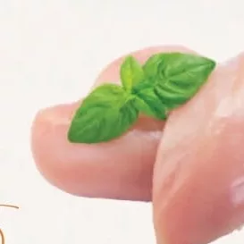 Piept de pui, kg