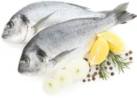 Dorada regală, calibrul 400–600 g