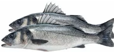 Biban de mare, calibrul 300–400 g
