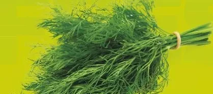 Mărar verde, calitatea I, legătură