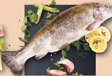 Патрана райдужна форель, аквакультура Oncorhynchus mykiss, кг
