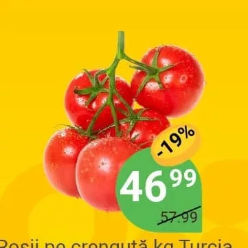 Помідори на гілці кг Туреччина