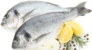 Dorada Regală, calibru 400–600 g, preț/kg