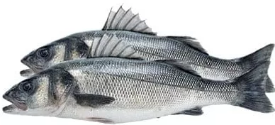 Biban de mare, calibru 300–400 g, preț/kg
