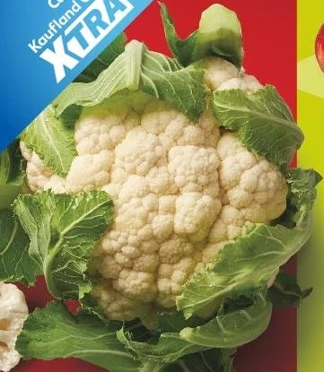 Conopidă, calitatea I