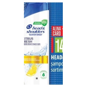 Head&Shoulders șampon 625 ml, diverse sortimente