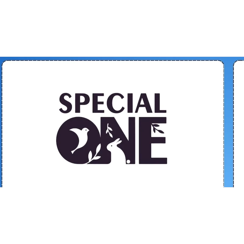 Special One Donuts pentru păsări, 60 g