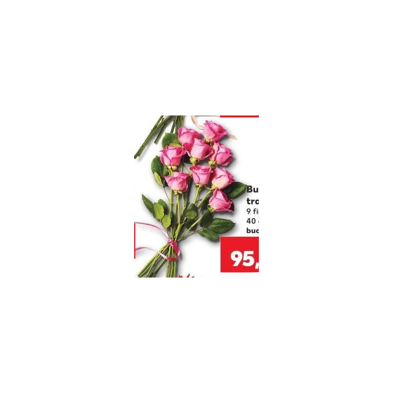 Buchet trandafiri, 9 fire
