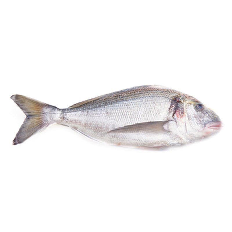 Dorada Regală, calibru 400–600 g, Grecia, kg