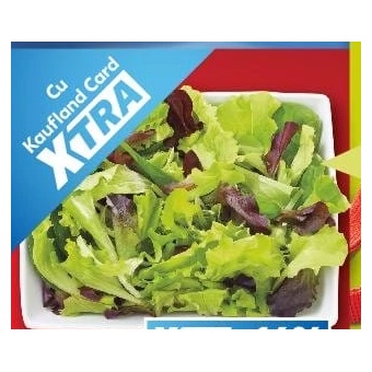 Salată Saporita 100 g