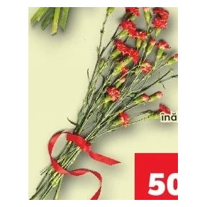 Buchet garoafe 7 fire
