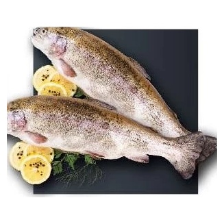 Păstrăv somonat eviscerat, kg