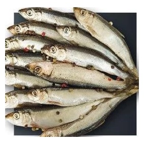 Salacă sărată, kg