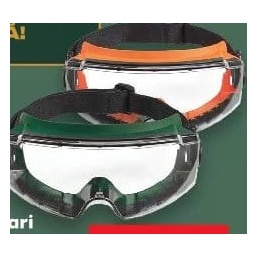 Parkside ochelari de protecție