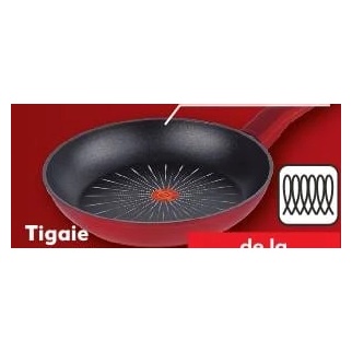 Tigaie Brio