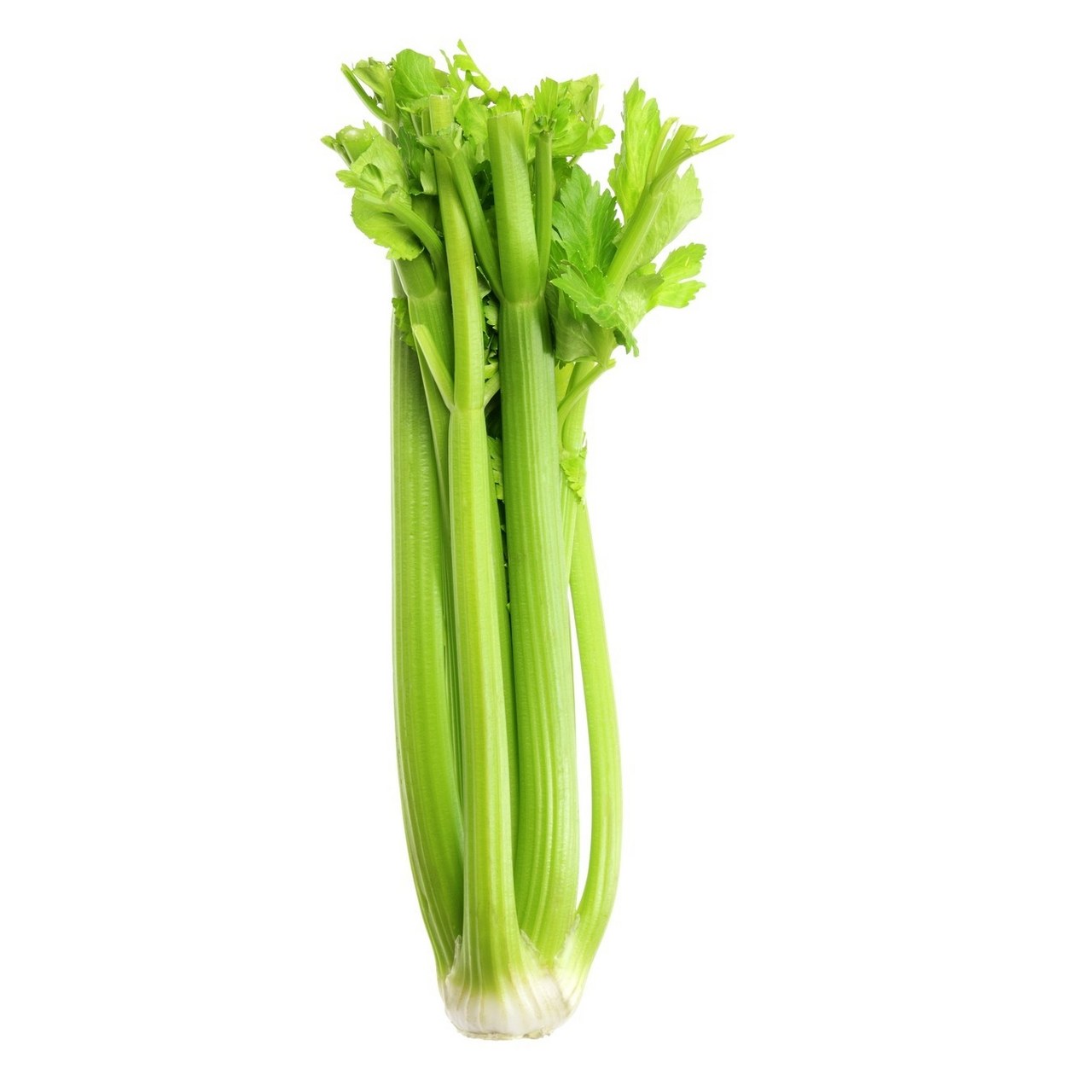 Apio, țelină tulpină, 1 kg