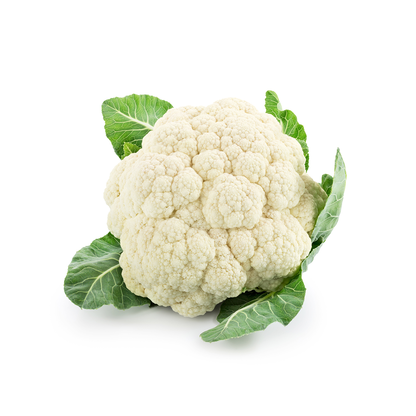 Conopidă, 1 kg