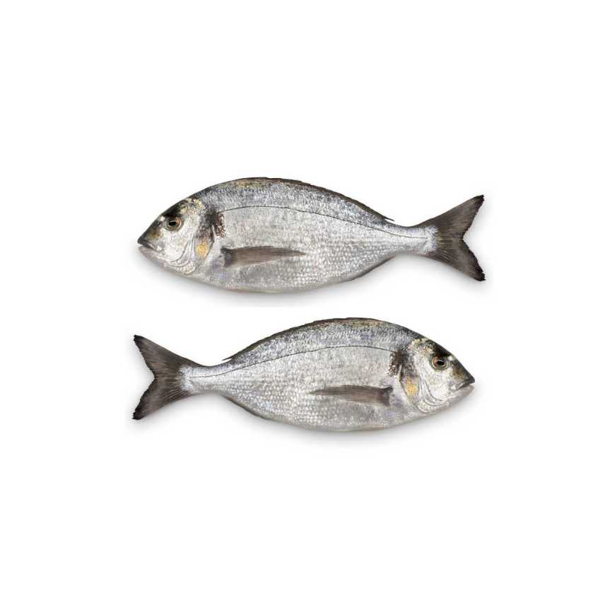 Doradă regală, 1 kg