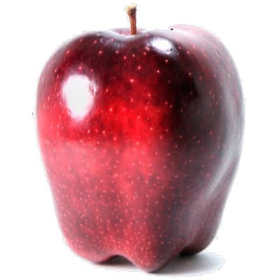 Mere Red Chief, 1 kg