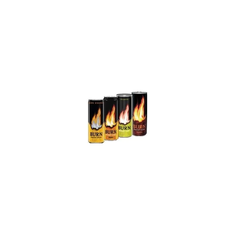 Burn băutură energizantă 0,25 L