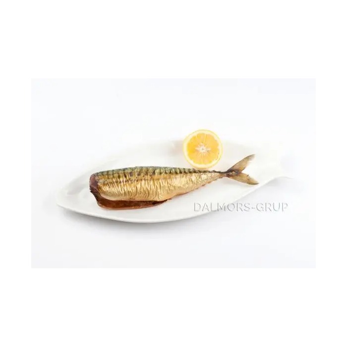 Ocean Fish macrou fără cap afumat cal. 300+ vid