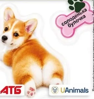 Благодійна наліпка АТБ/UAnimals: коргі, «солоденька булочка»; 30.09–27.10.2026 вкл.; за наявності в магазині, запас обмежений; крім тимчасово окупованих територій; 100% прибутку — UAnimals.
