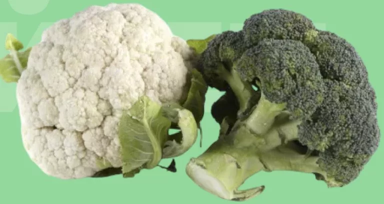 Broccoli sau conopidă; în magazinele METRO