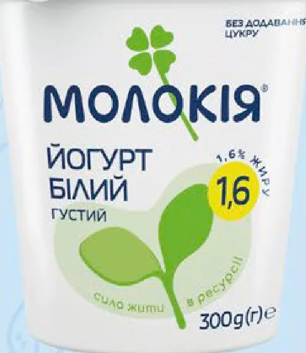 Molokiia iaurt alb dens 1,6%, 300 g; 05–11.10.2026/în limita stocului; magazine selectate; preț variabil; vechi=media rețelei
