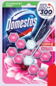 Блок для унітаза Domestos Power 5 Duo Крижана магнолія, 2×55 г