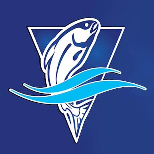 Ocean Fish