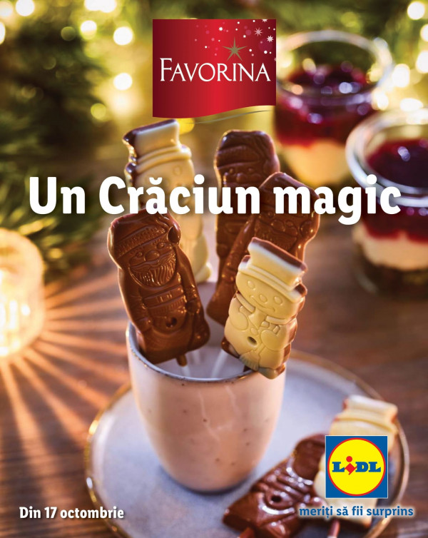 Lidl catalog cu reduceri